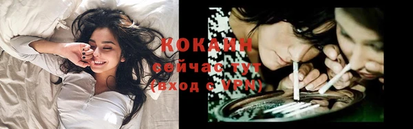 бошки Саяногорск
