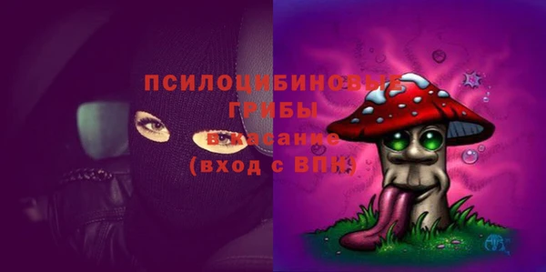 дурь Семилуки