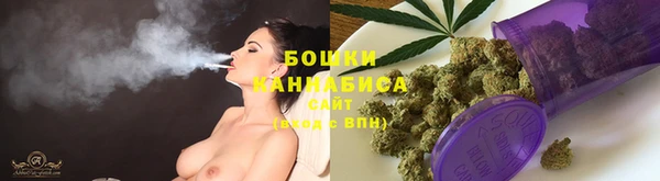 дмт Сатка
