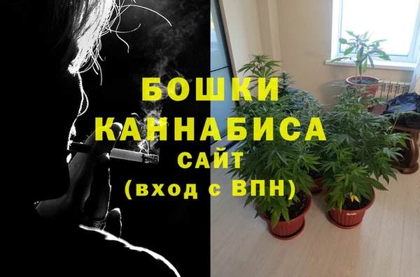 бошки Саяногорск