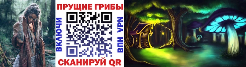 Купить  Спас-Клепики  Псилоцибиновые грибы ЛСД 